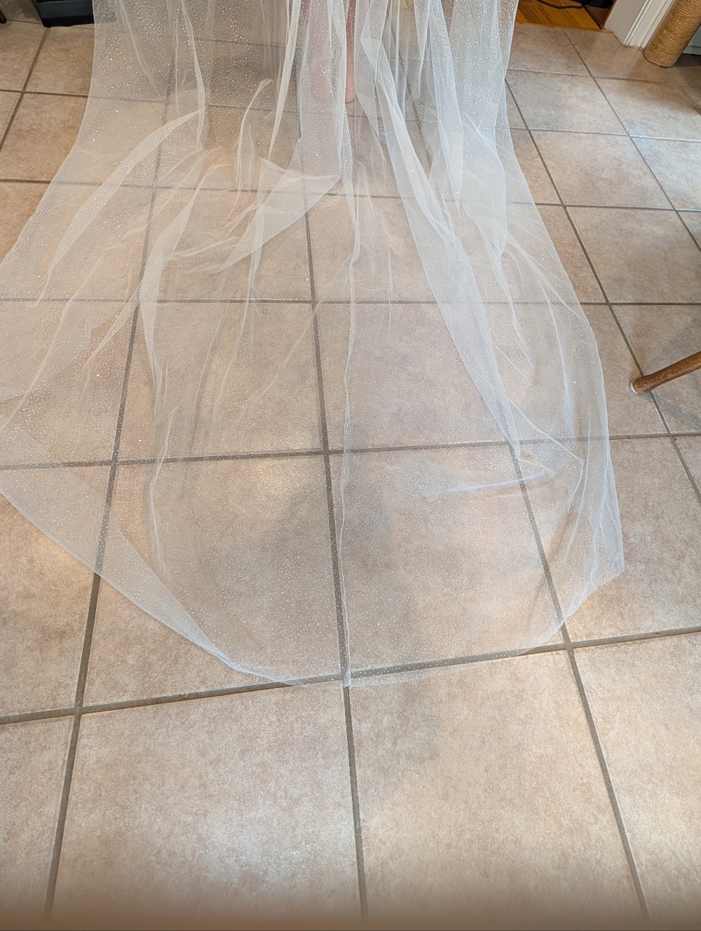Sparkle Cathedral Single Tier Wedding Bridal Veil 118" Wide - Picture 4 of 10